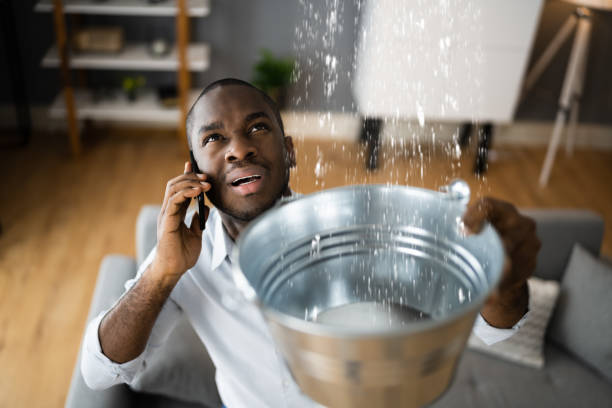 Best Ceiling water damage repair  in Lost Hills, CA