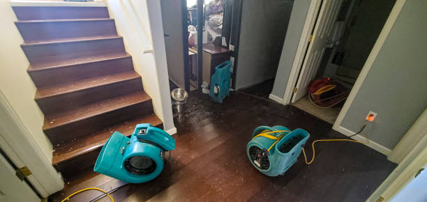 Best Flood restoration services  in Lost Hills, CA