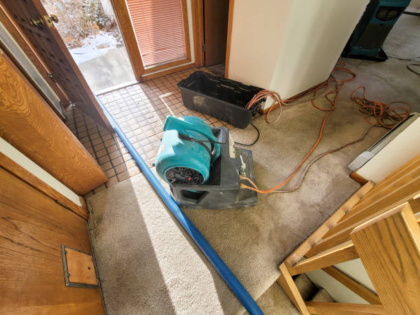 Best Flood damage cleanup  in Lost Hills, CA
