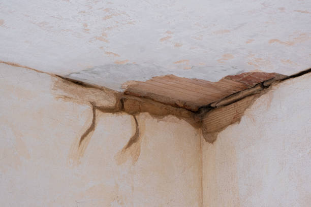 Best Water damage restoration experts  in Lost Hills, CA