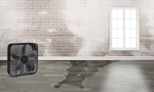 Best 24-hour water damage restoration  in Lost Hills, CA