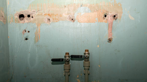 Best Water damage restoration cost  in Lost Hills, CA