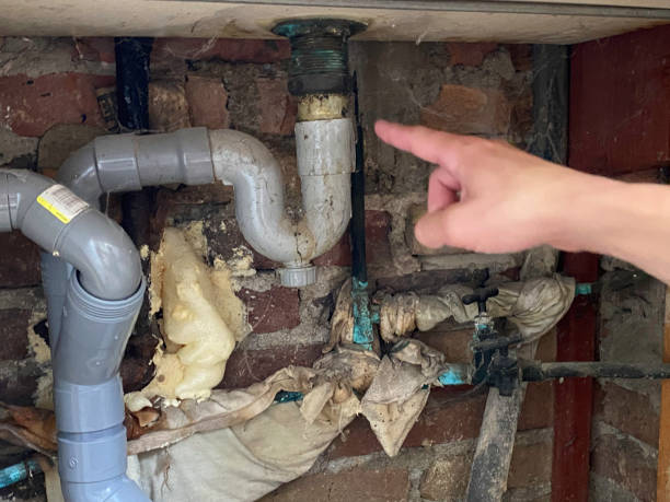 Best Carpet water damage restoration  in Lost Hills, CA
