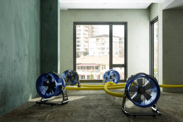Best Water damage restoration near me  in Lost Hills, CA